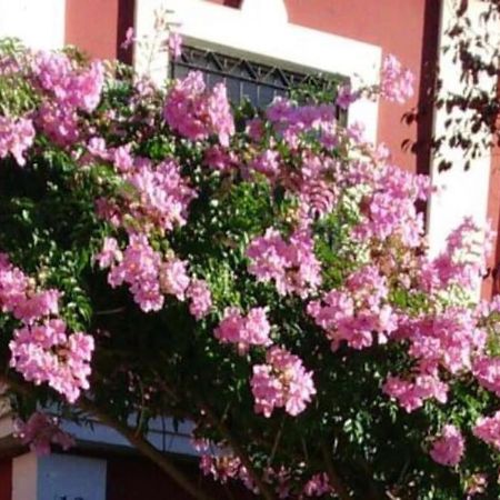 Casa Bignonia Βίλα Salteras Εξωτερικό φωτογραφία