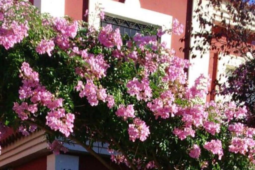 Casa Bignonia Βίλα Salteras Εξωτερικό φωτογραφία