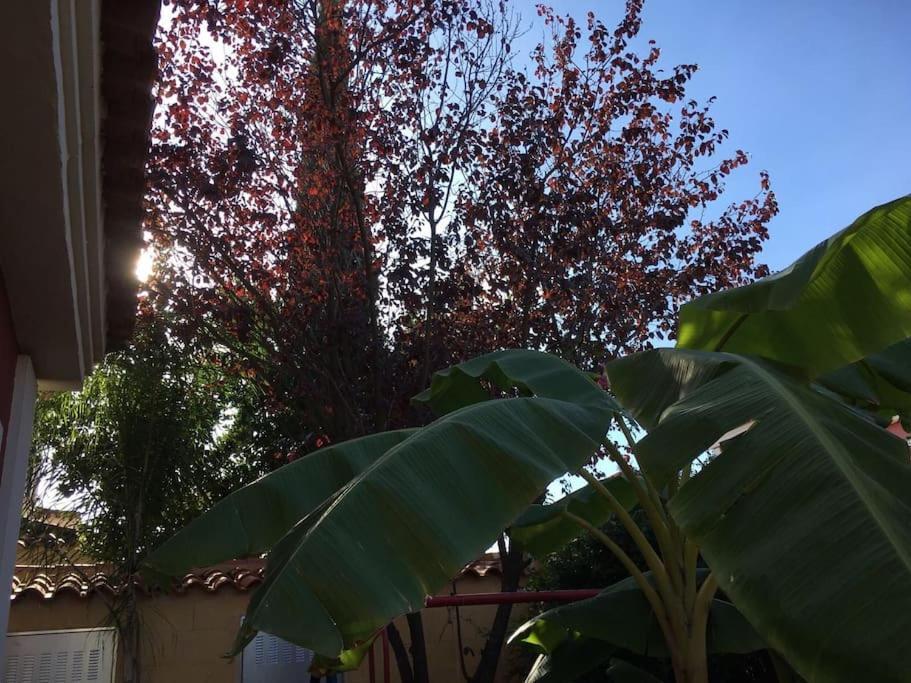Casa Bignonia Βίλα Salteras Εξωτερικό φωτογραφία